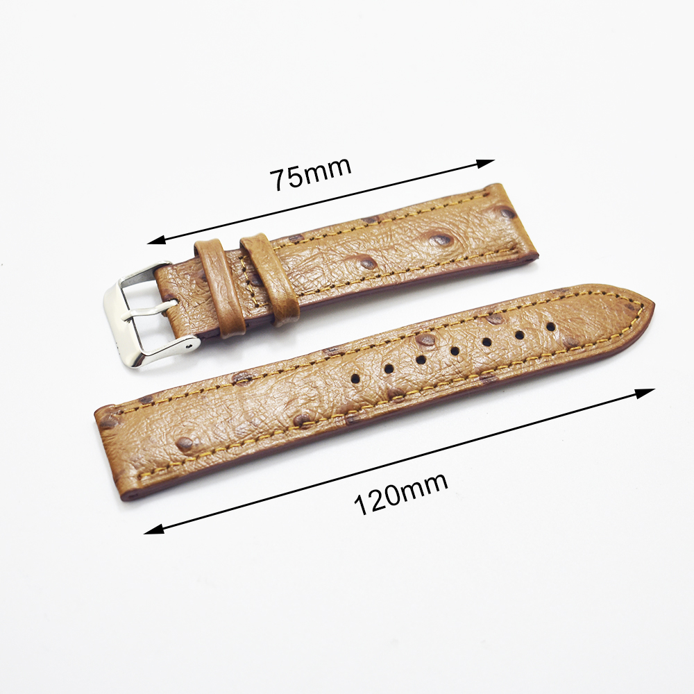 Gelang Jam Tangan Kulit Pola B - Curved Spring Bar ulasan dan harga